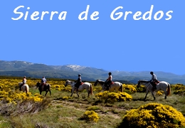 horseback trail ride in Spain