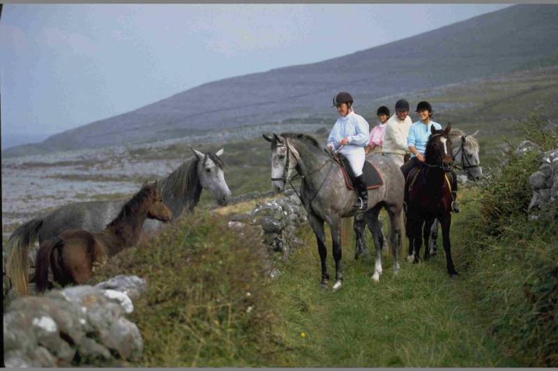 offbeat-things-to-do-on-the-wild-atlantic-way-of-ireland