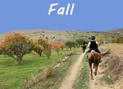 Fall