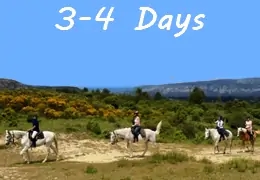 horse riding 3 to 4 days