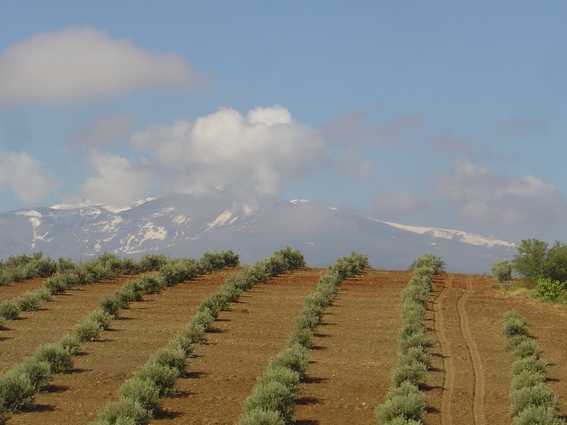 Andalucia horse riding holiday