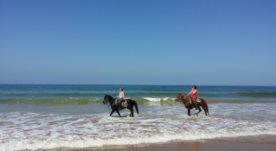 horse ride morocco