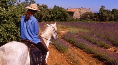 horseback riding trip in provence