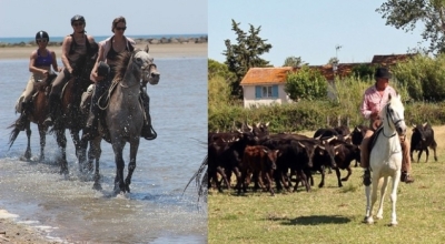 horseback ride in Camargue