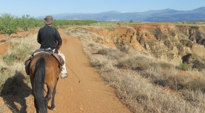 horseback riding trip in andalusia