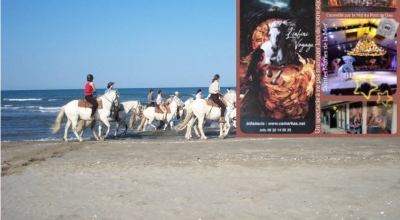 week end horse riding in camargue