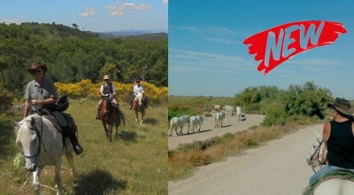 discover the provence on horseback