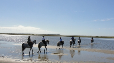 Brazil equestrian holiday