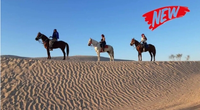 horse riding morocco