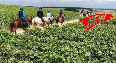 horseback ride loire castles