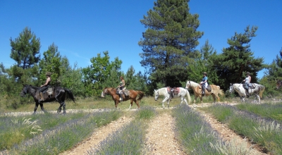 provence horseback riding