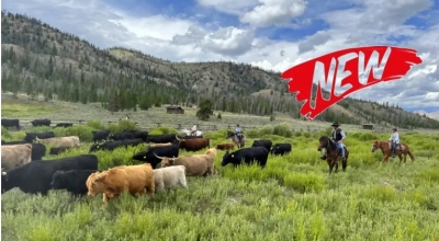 vacances ranch cheval Wyoming