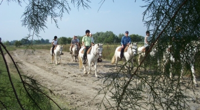 horseback ride in camargue