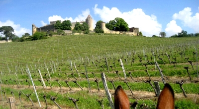 horseback trail ride bordeaux