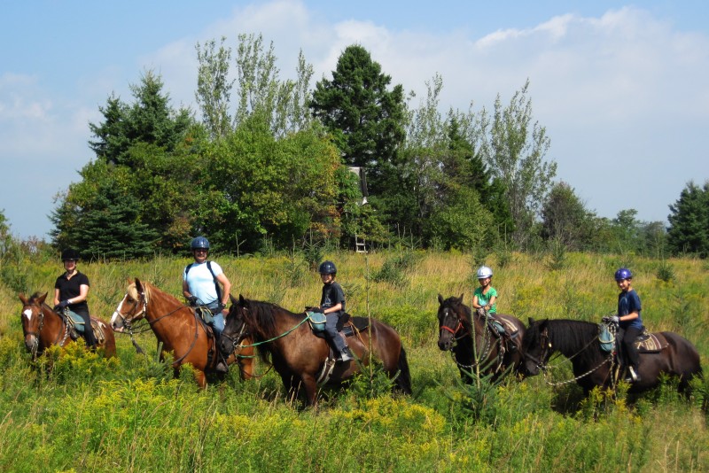 Horseback Trail Ride in CANADA : AUTHENTIC WEEK RIDE IN QUEBEC | Cap ...