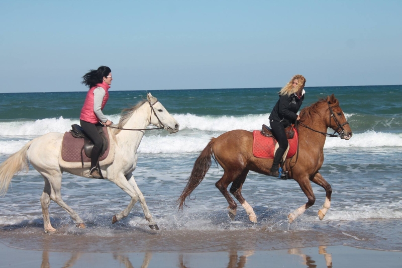 Horseback trail Ride in SPAIN - ACTIVE TRAIL RIDE IN CATALONIA