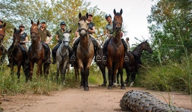 horse riding safari