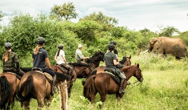 African explorer safari