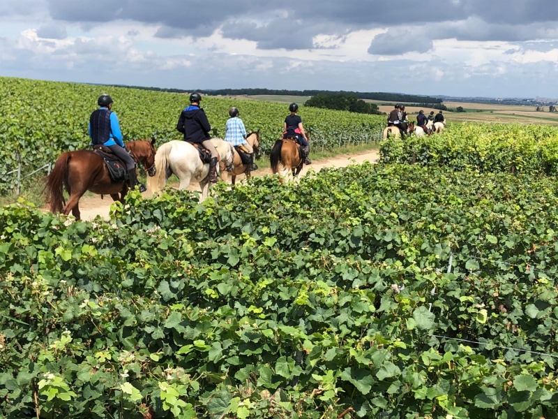 loire valley horse riding