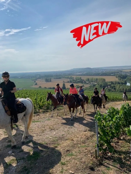 horseback ride loire castles