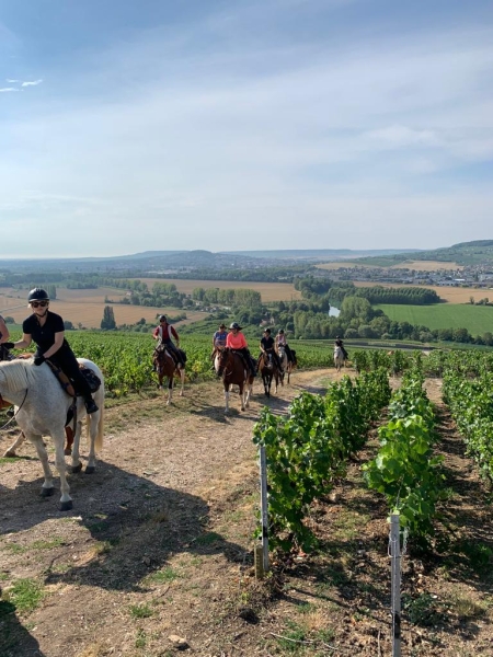 loire castles on horseback