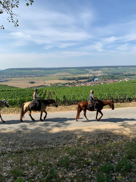 loire valley horse riding