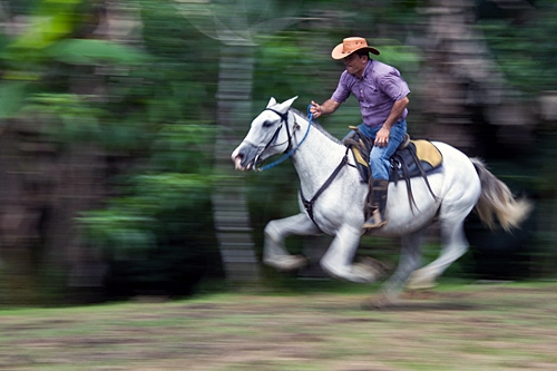 horseback riding trip in Costa Rica