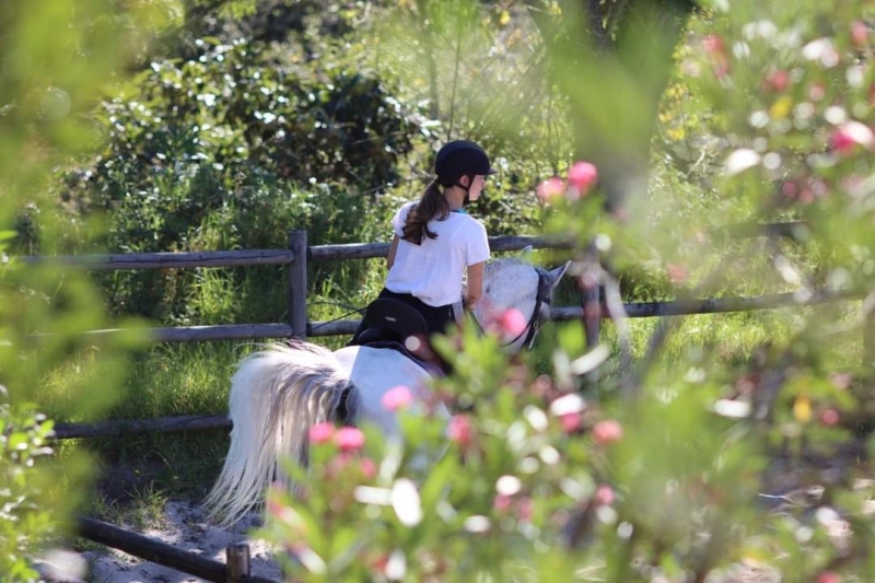 stage dressage portugais