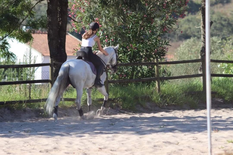 stage dressage portugais