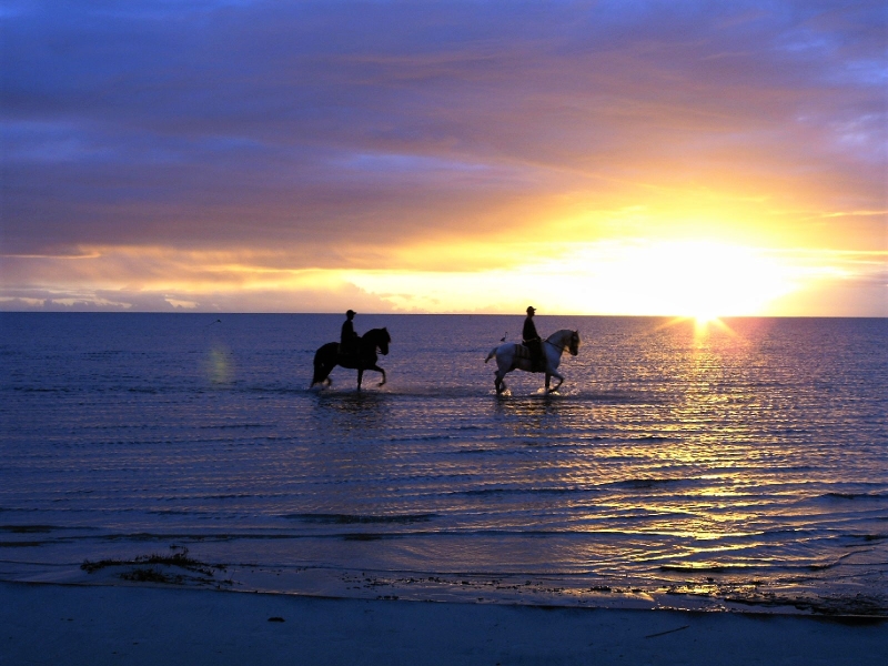 Brazil equestrian holiday