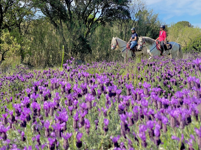 horseback trail ride in spain