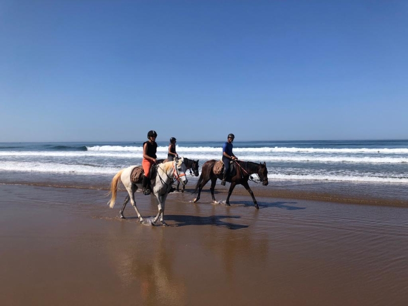 horse riding in Spain