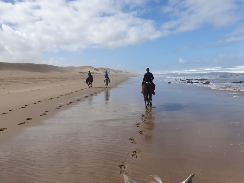 Spain horseback riding