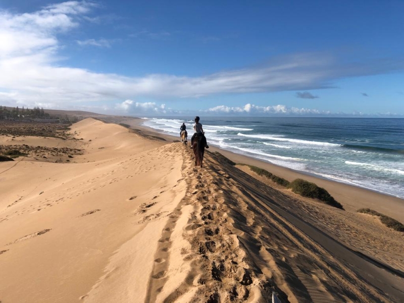 horseback riding in Spain