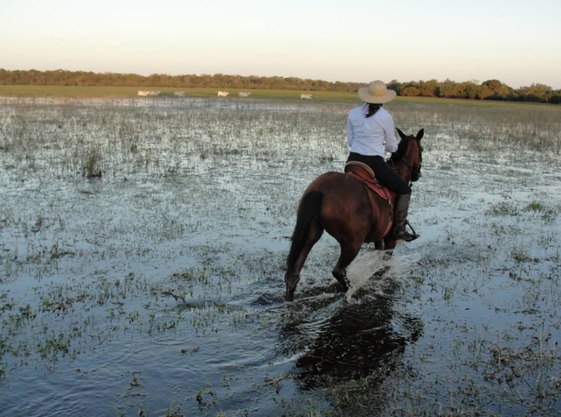 Brazil equestrian holiday