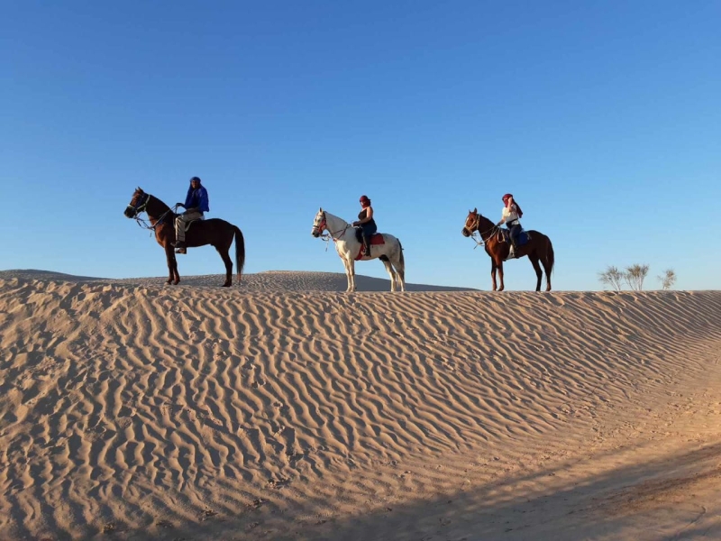 horse riding morocco