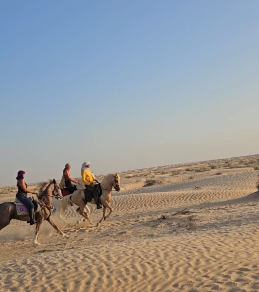 horse riding morocco