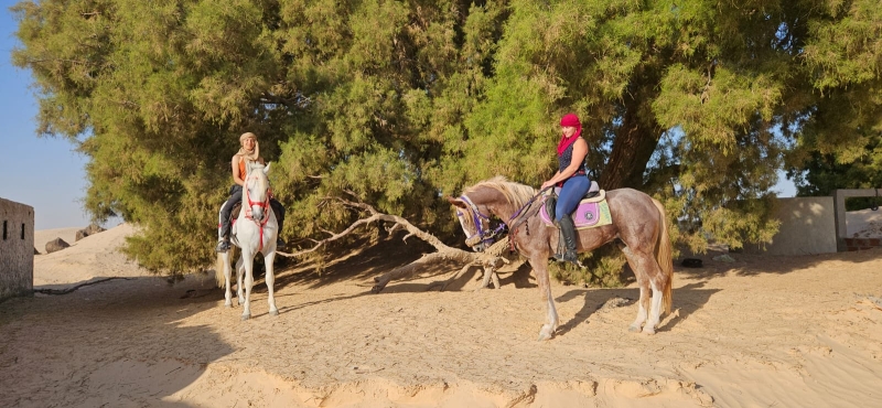 horseback riding trip in morocco