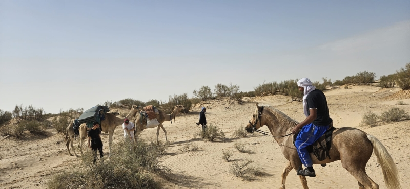 horseback trail ride in morocco