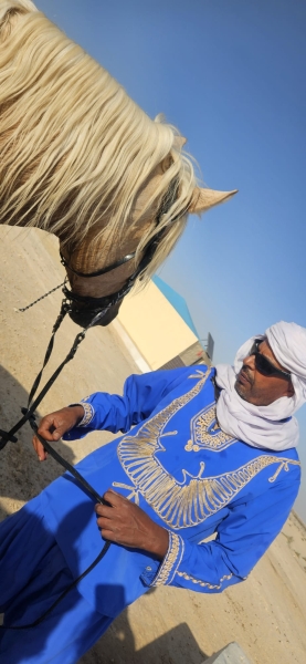 equestrian vacation in morocco