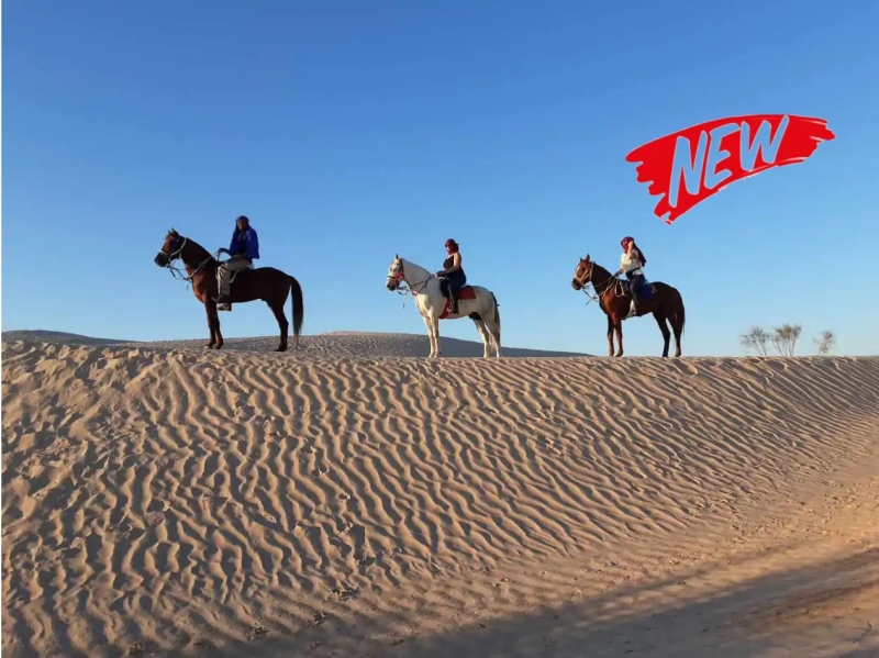 horse riding morocco