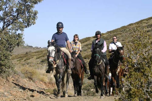 natural horsemanship parelli cabo de gata