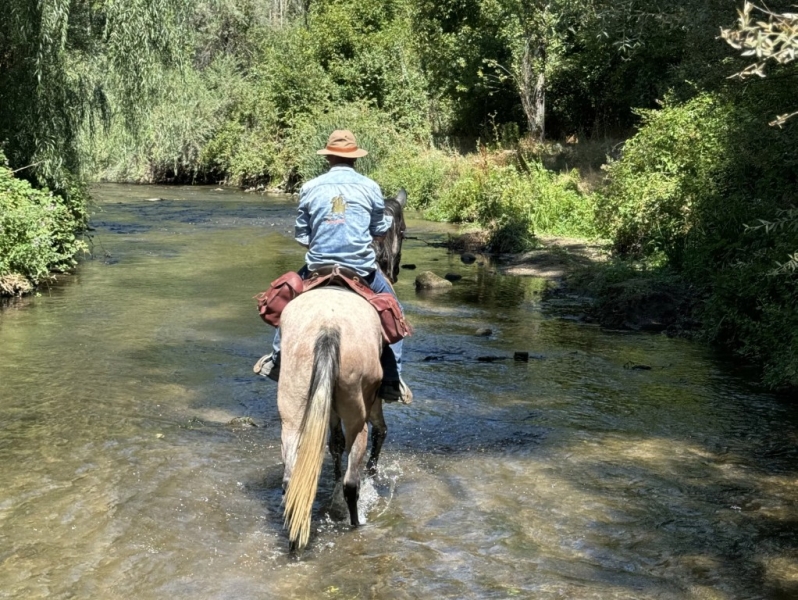 Randonnée à Cheval Turquie Cappadoce