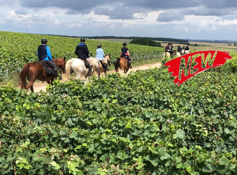 horseback ride loire castles