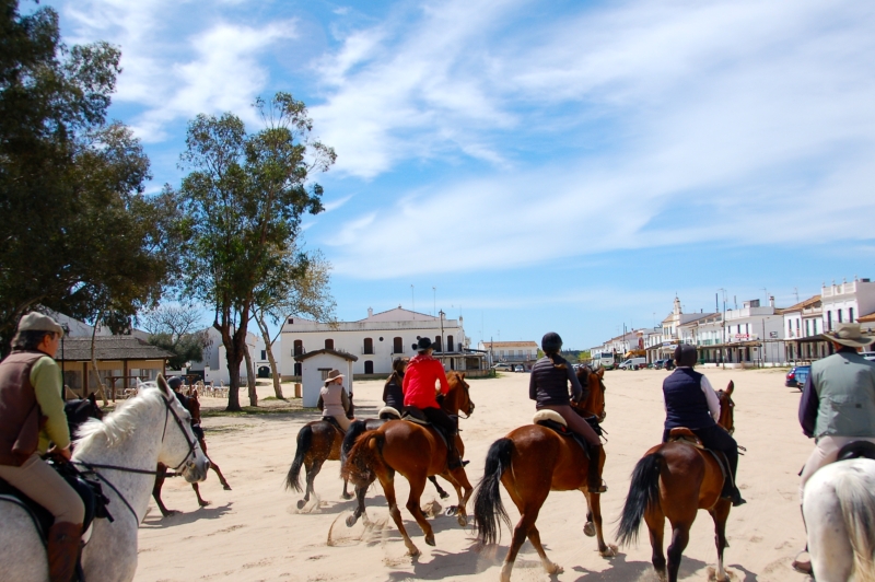 Andalousie cheval