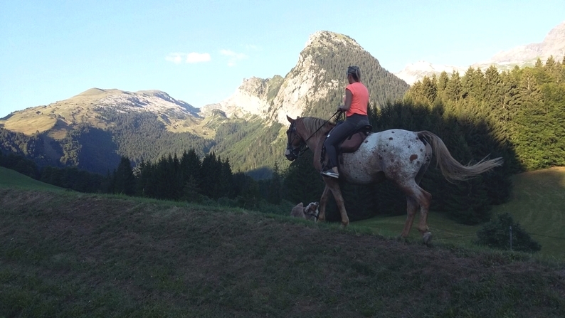 randonnee a cheval haute savoie