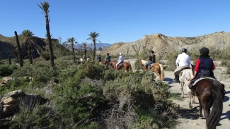 rando a cheval Andalousie